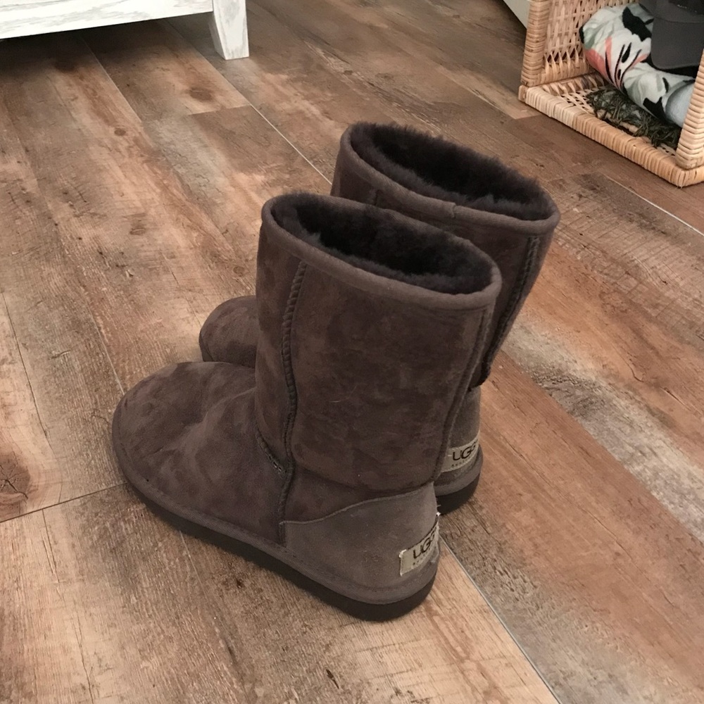 Classic short Brown UGG Boots